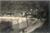 46.Carso Isonzo. Passaggio di muli