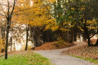 Parco storico di Villa Guiccioli