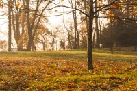 Parco storico di Villa Guiccioli