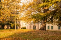 Parco storico di Villa Guiccioli