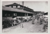 22.Vicenza, centro rifornimenti, 1916
