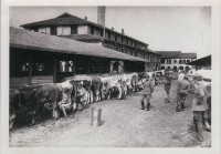 22.Vicenza, centro rifornimenti, 1916