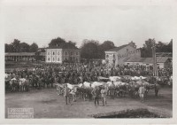 98.Stazione di Vicenza, parco buoi