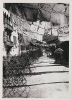 223.Mascheramento di una strada di Valstagna. 1918