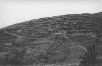 242.Volkovnjak, maggio 1917