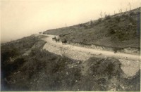 47.Carso Isonzo. Passaggio di muli