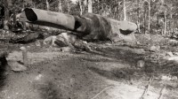 294.Fusto cannone austriaco da 192 nel bosco di Nad Logem catturato nell'offensiva di Gorizia