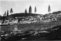 326.Cimitero austriaco di Campomulo