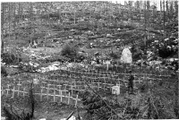 331.Cimitero austriaco del Mosciagh