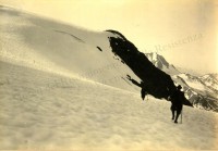 406.4° squadra fotografica, Piz Tresero